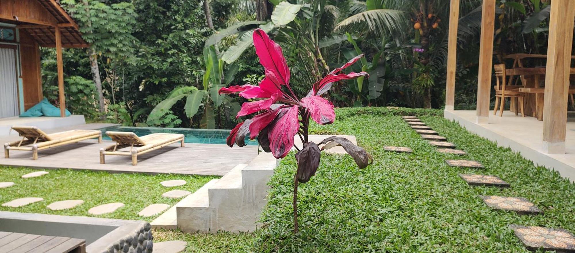 Rumah Guci Ubud Dış mekan fotoğraf