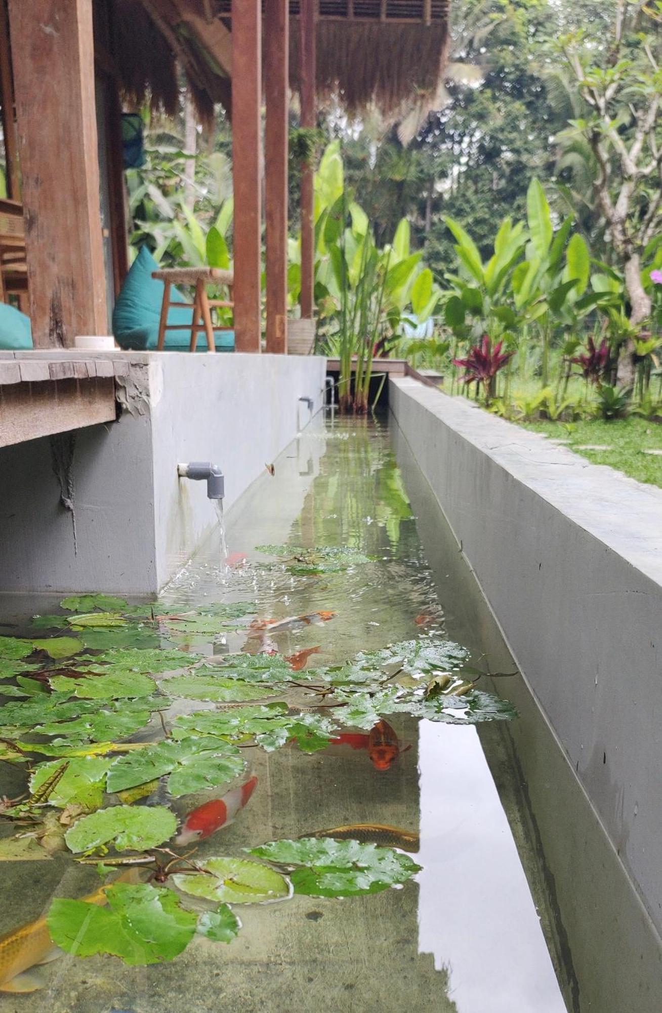 Rumah Guci Ubud Dış mekan fotoğraf