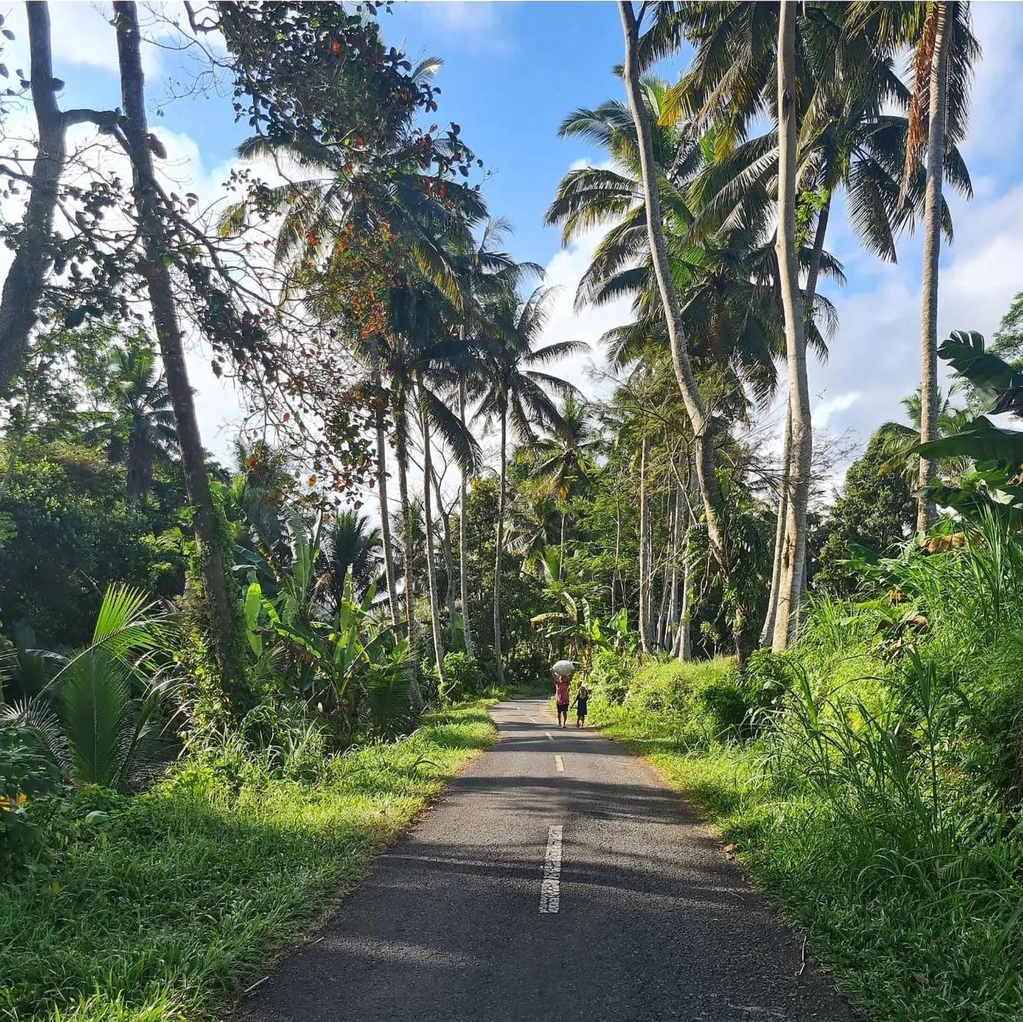 Rumah Guci Ubud Dış mekan fotoğraf